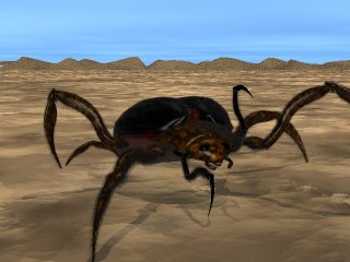 Arachnid.jpg (16014 bytes)