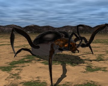 Spider.jpg (24501 bytes)