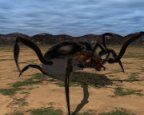 Spider.jpg (5115 bytes)
